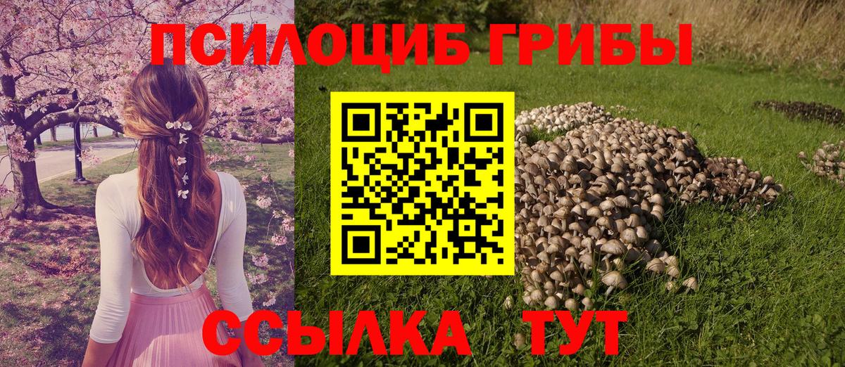 Радужный  Псилоцибиновые грибы прущие грибы  Вход с VPN 